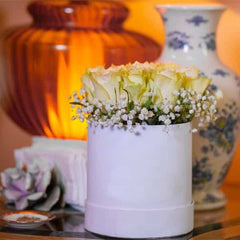  Imported White Roses in Round Box 